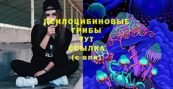 соль ск Вязьма