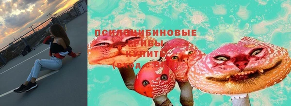 соль ск Вязьма