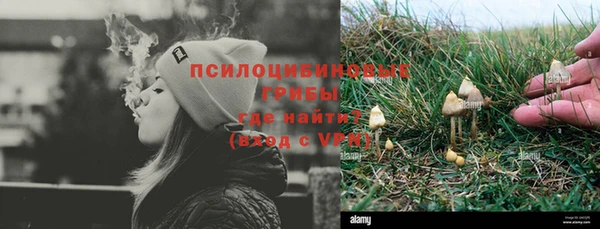 соль ск Вязьма