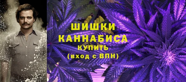 соль ск Вязьма