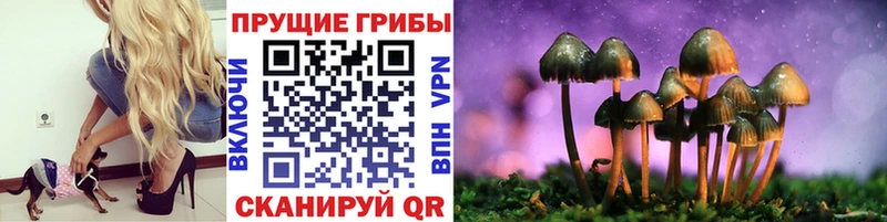 Купить  Калязин  Псилоцибиновые грибы ЛСД 